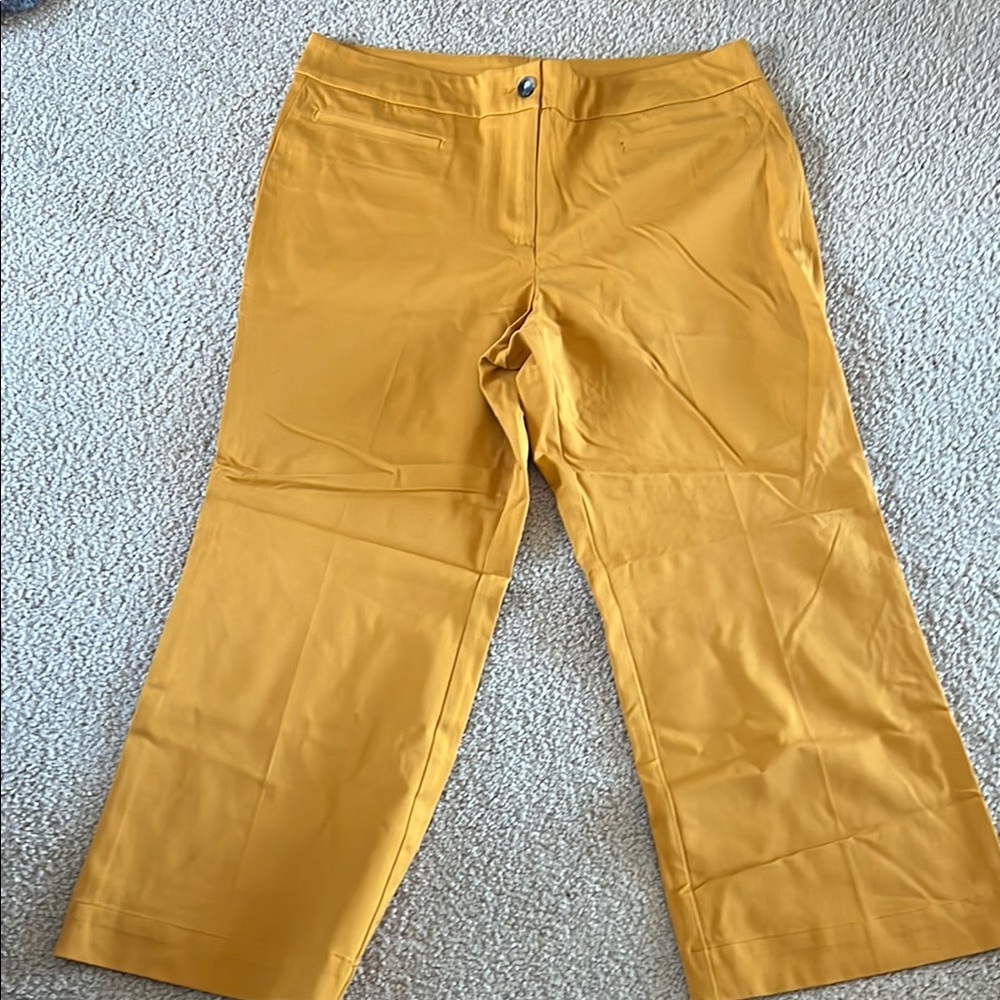 Ann Taylor Factory Mustard Dress Pants